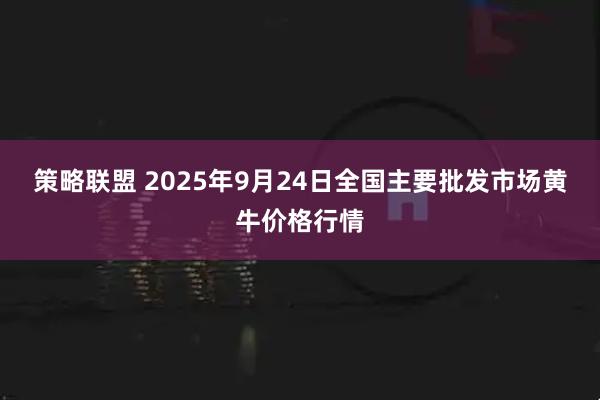 策略联盟 2025年9月24日全国主要批发市场黄牛价格行情